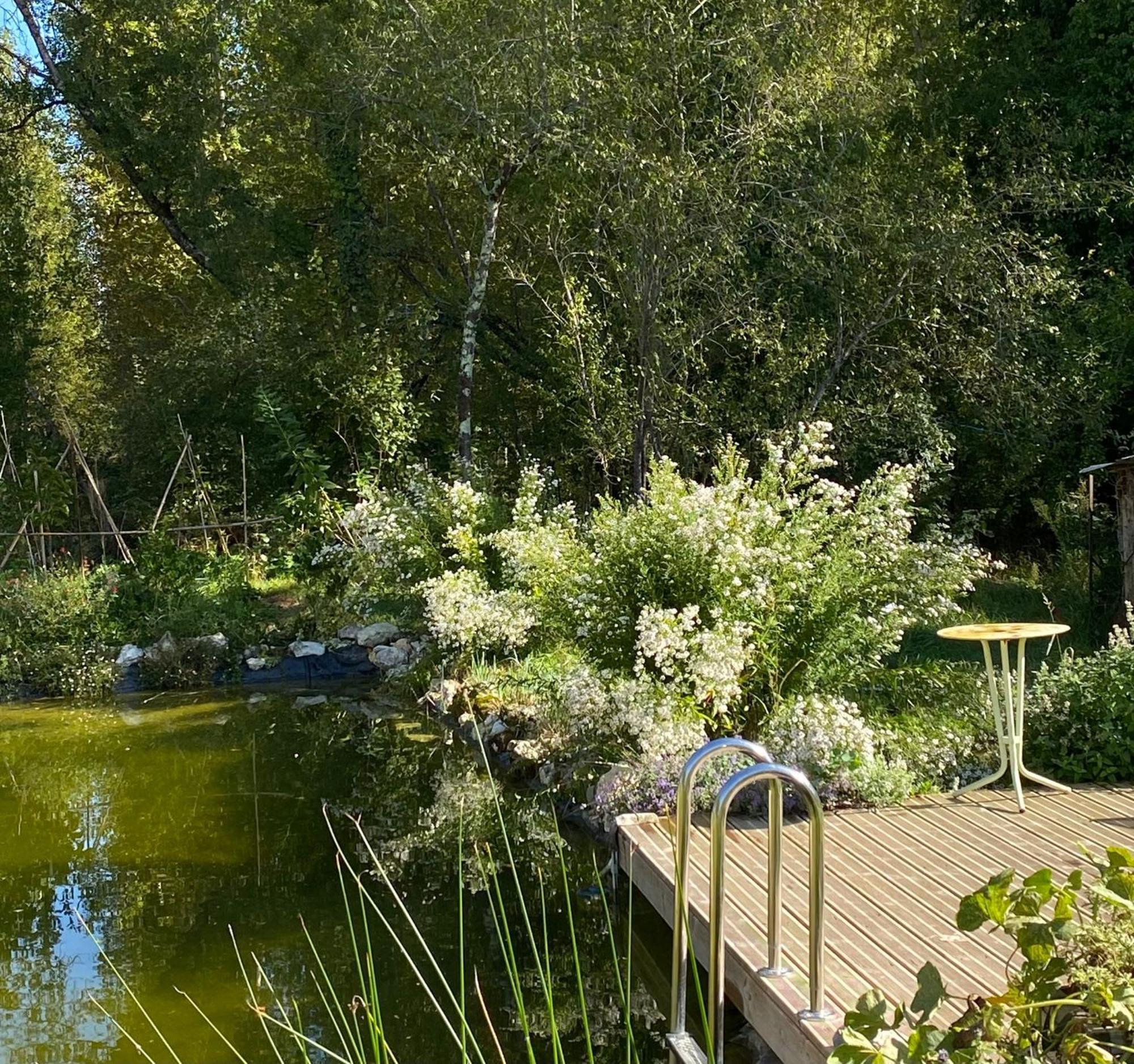 Le Moulin Scalagrand Bed & Breakfast Mazieres  Dış mekan fotoğraf